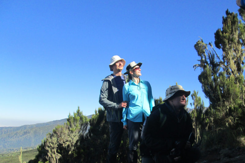 7 Days Marangu Route