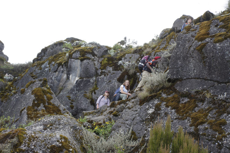 8 Days Lemosho Route With Crater Camp