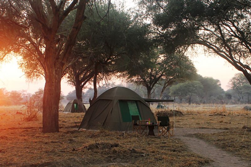 10 Days Camping Tanzania Safari
