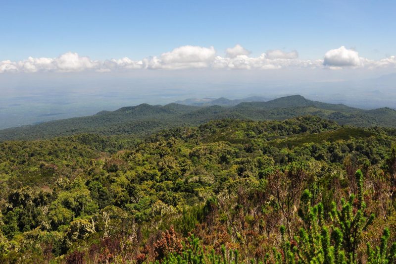 Mount Kilimanjaro Day Hike - Marangu