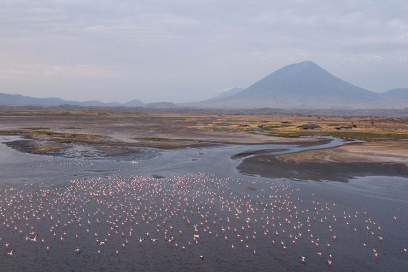 6 Days Lake Natron and Serengeti Safari